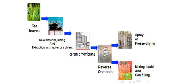 tea-extract-3