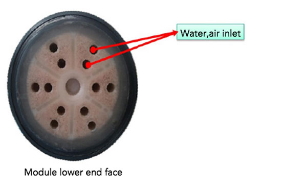 organic membrane module low end face features