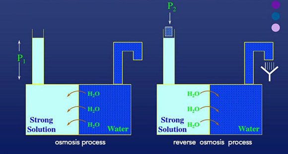 RO Membrane Technology